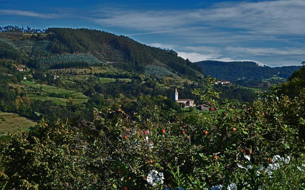 Trisqueles Y Buganvillas Villaviciosa  Εξωτερικό φωτογραφία